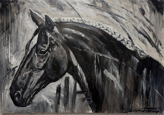 12 Almas Ibéricas - 2