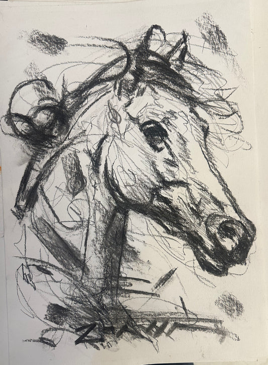 Lusitano carboncillo 02