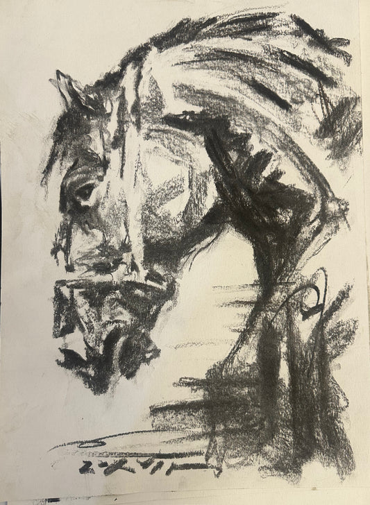 Lusitano carboncillo 01