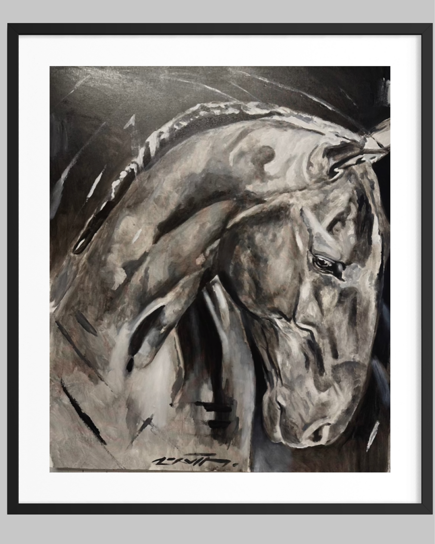Lusitano "Alma Iberica 12"